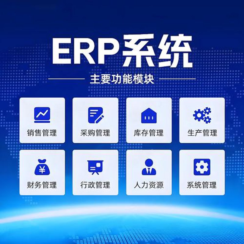 ERP定制